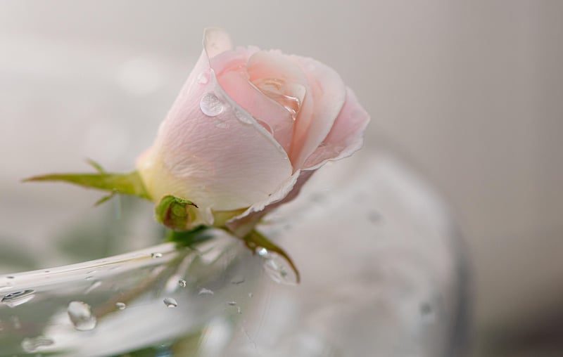 Find inner peace