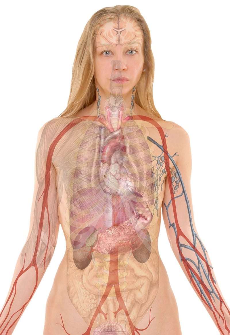 Mindful Body Awareness